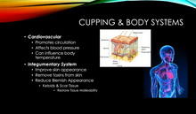 Cupping Therapy Foundations (Webinar) / (3hr - 3CEUs) / February 12, 2024 / 11am-2pm EST - Platform: Zoom